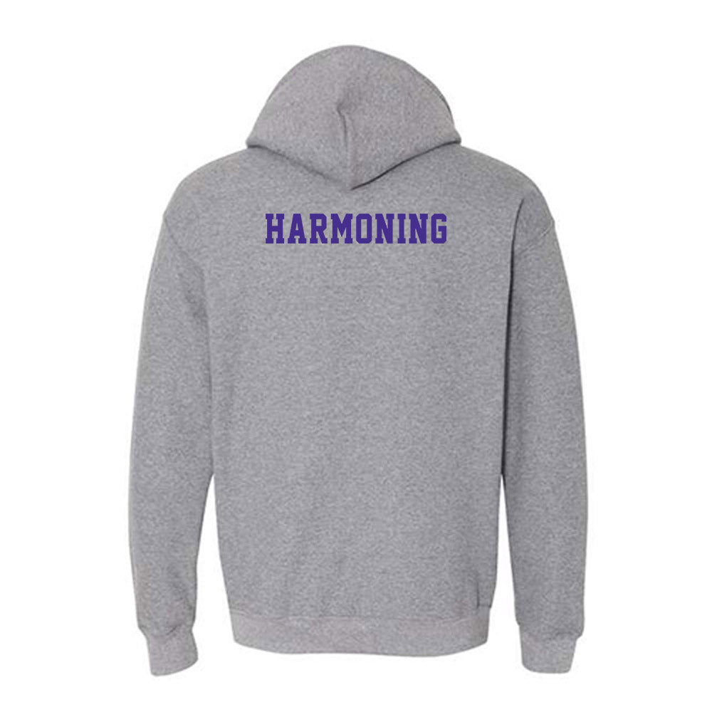 Winona - NCAA Men's Cross Country : Wyatt Harmoning - Classic Shersey Hooded Sweatshirt-1