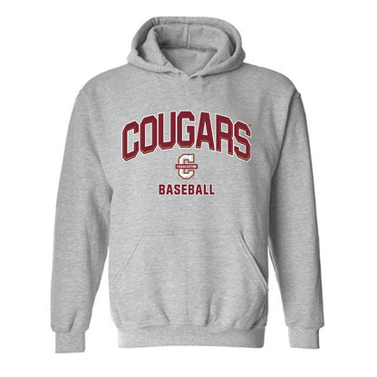 Charleston - NCAA Baseball : Asher Lucas - Hooded Sweatshirt-0