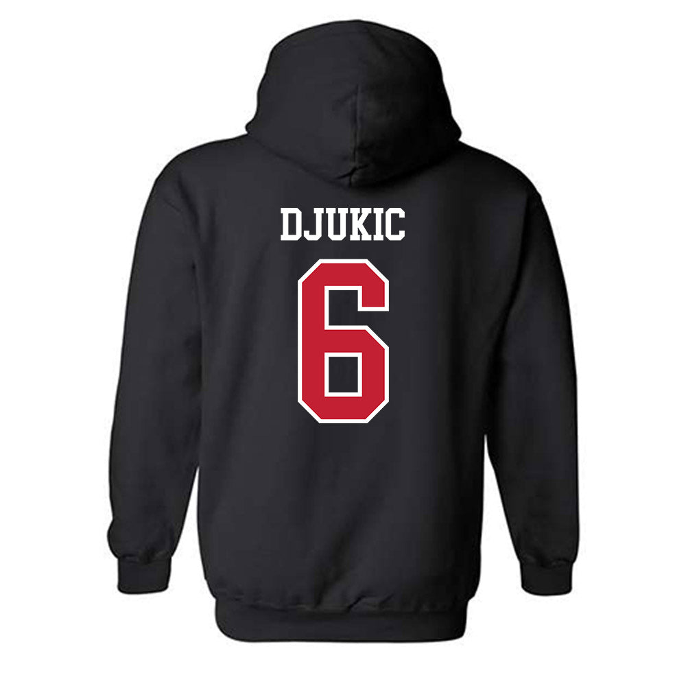 Northern Illinois - NCAA Women's Volleyball : Viktoria Djukic - Hooded Sweatshirt-1