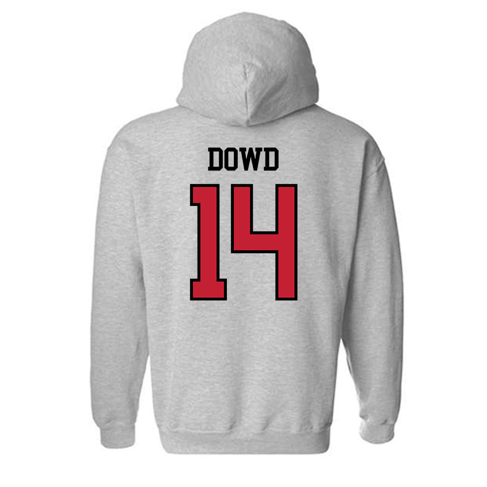Northern Illinois - NCAA Women's Volleyball : Naomi Dowd - Classic Shersey Hooded Sweatshirt-1