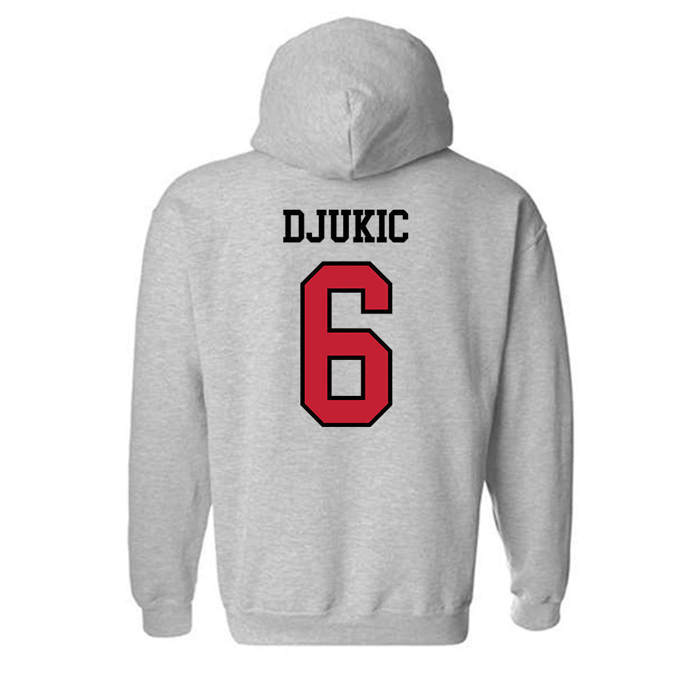 Northern Illinois - NCAA Women's Volleyball : Viktoria Djukic - Classic Shersey Hooded Sweatshirt-1