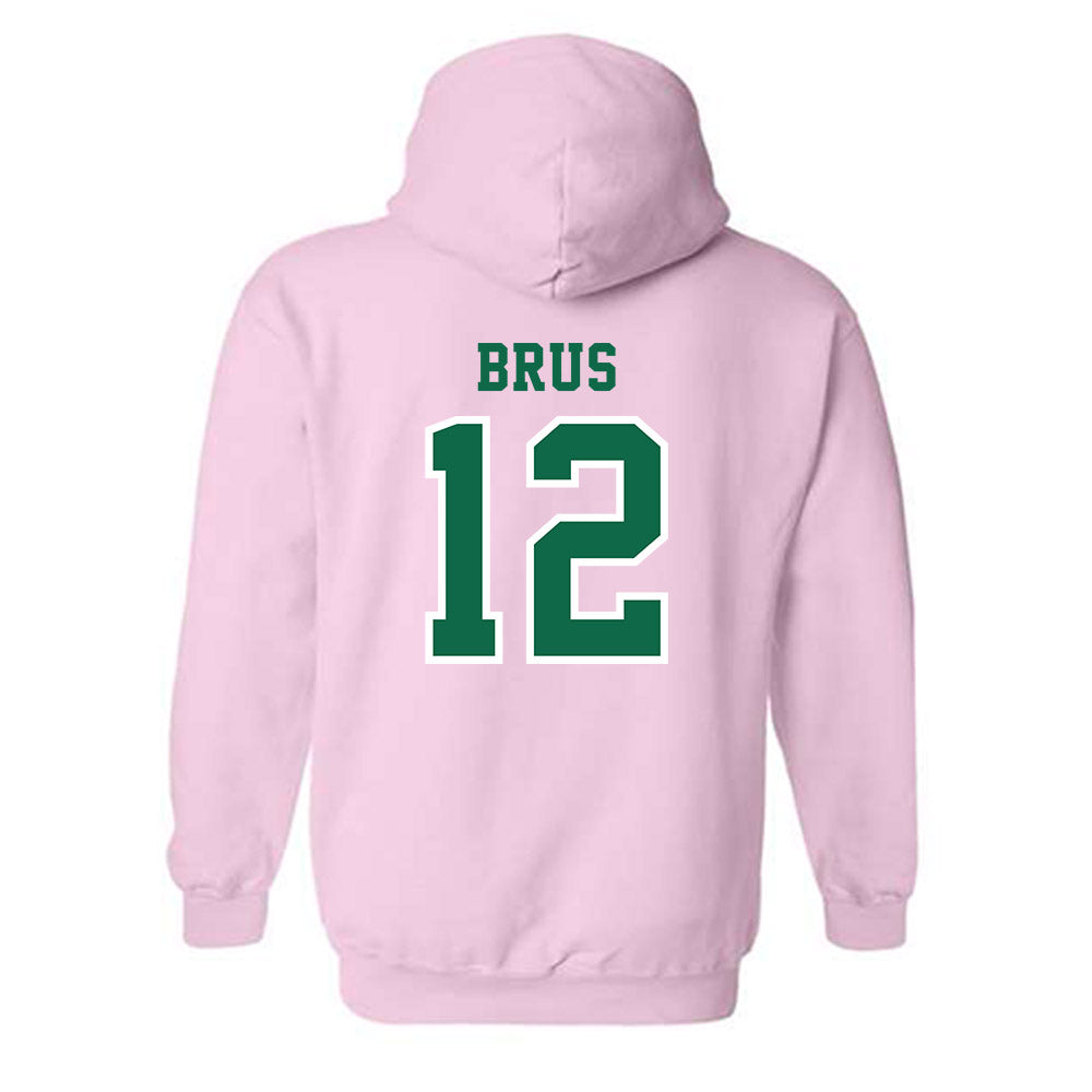USF - NCAA Women's Volleyball : Addy Brus - Hooded Sweatshirt-1