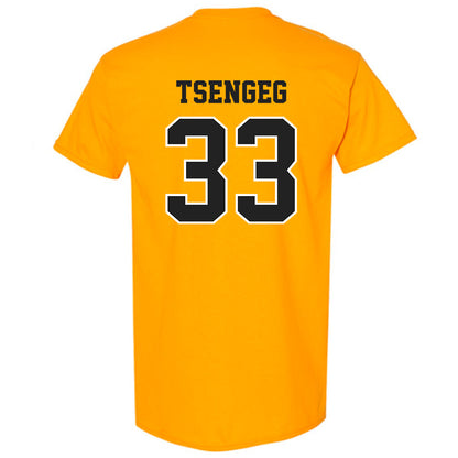 Wichita State - NCAA Baseball : Amar Tsengeg - T-Shirt-1