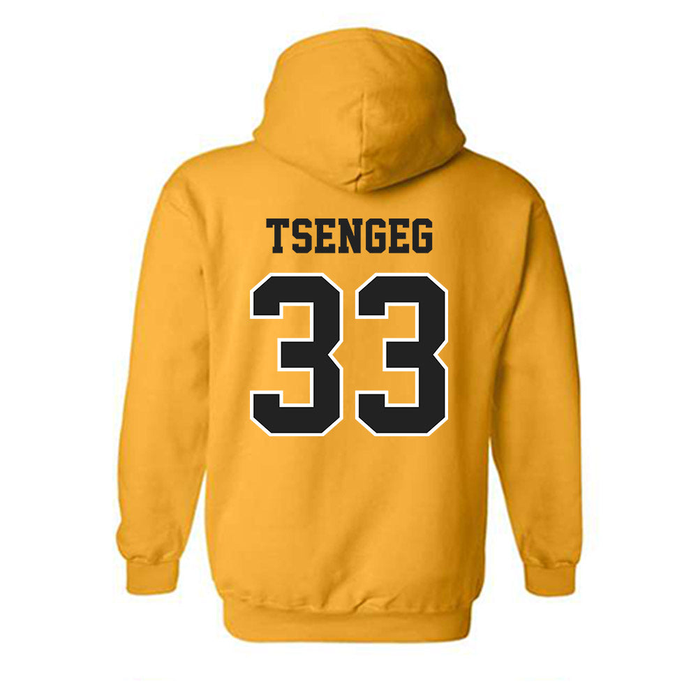 Wichita State - NCAA Baseball : Amar Tsengeg - Hooded Sweatshirt-1