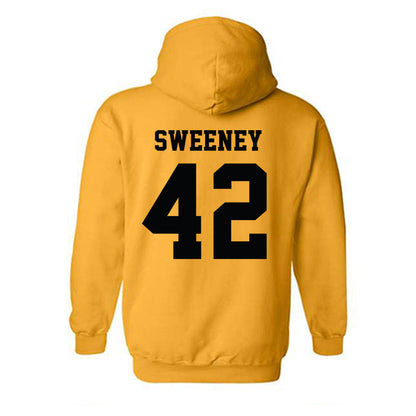 Wichita State - NCAA Baseball : MJ Sweeney - Classic Shersey Hooded Sweatshirt-1