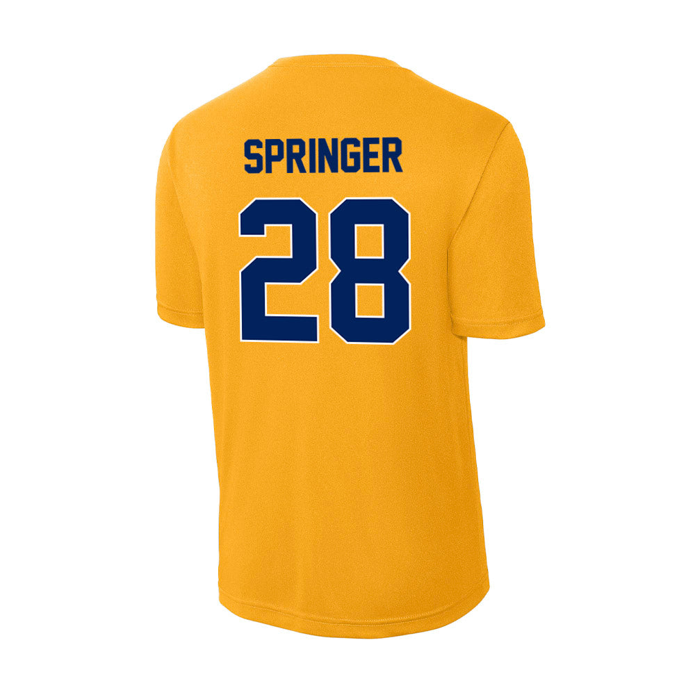 UW Eau Claire - NCAA Softball : Siri Springer - Activewear T-Shirt-1