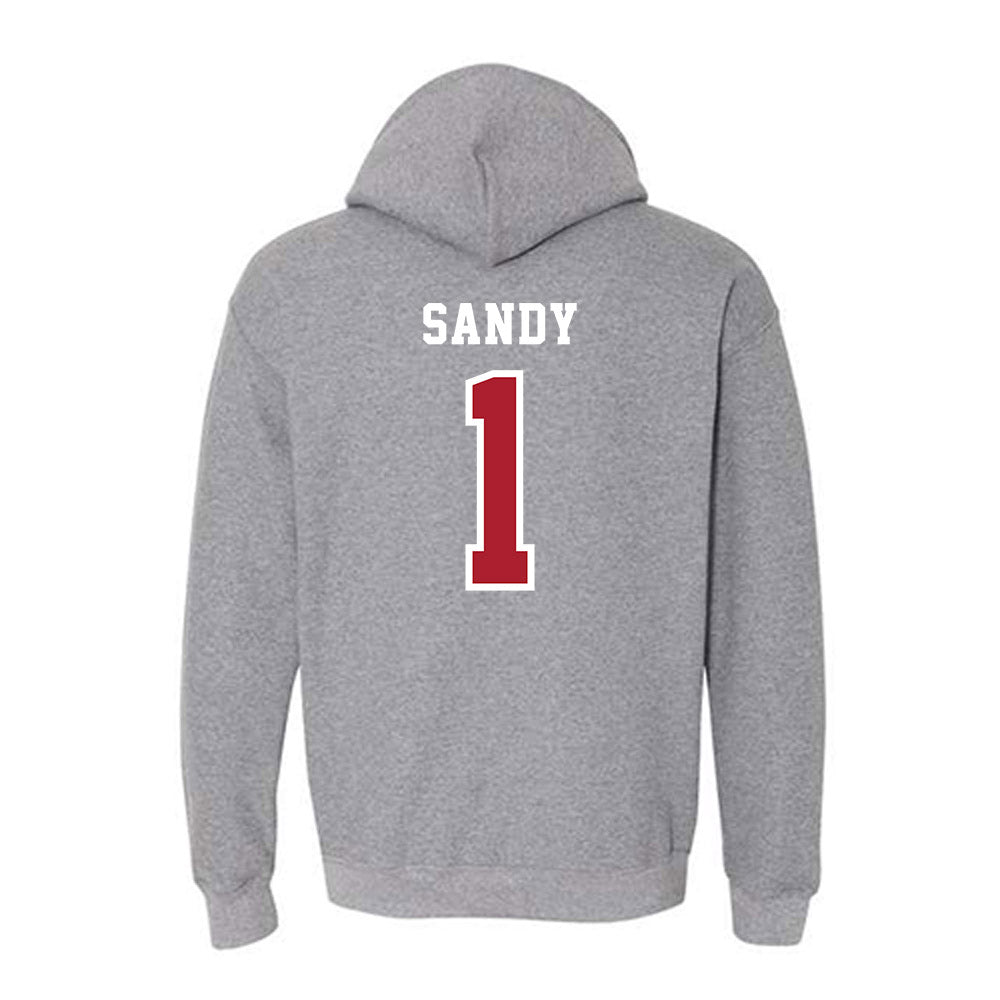 Stony Brook - NCAA Men's Soccer : Rushon Sandy - Classic Shersey Hooded Sweatshirt-1