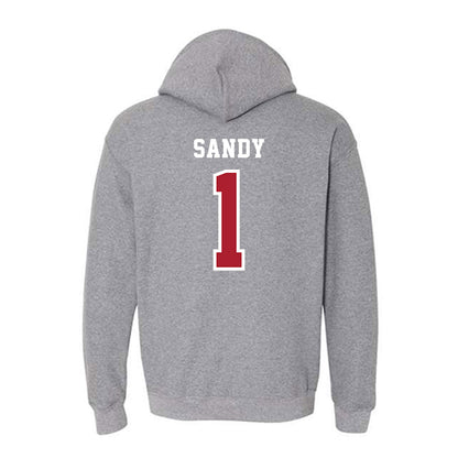 Stony Brook - NCAA Men's Soccer : Rushon Sandy - Classic Shersey Hooded Sweatshirt-1