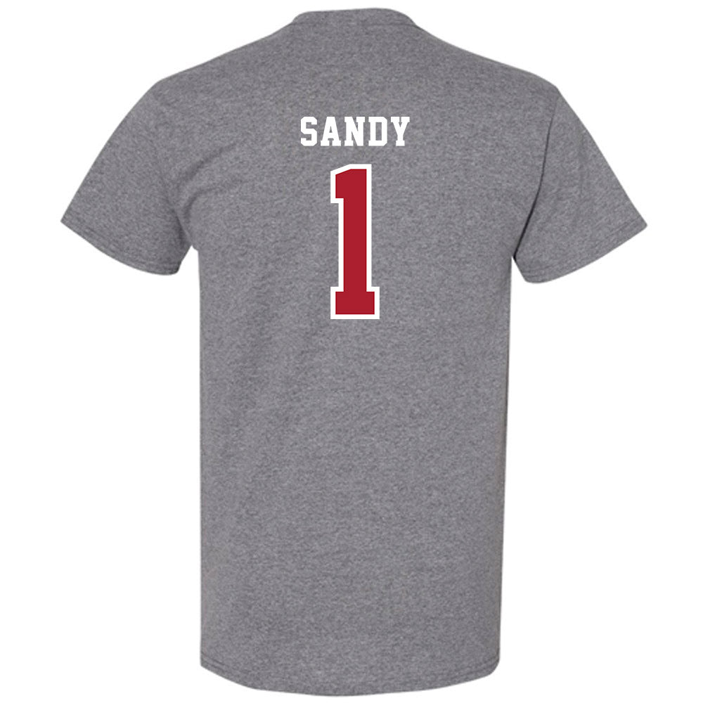 Stony Brook - NCAA Men's Soccer : Rushon Sandy - Classic Shersey T-Shirt-1