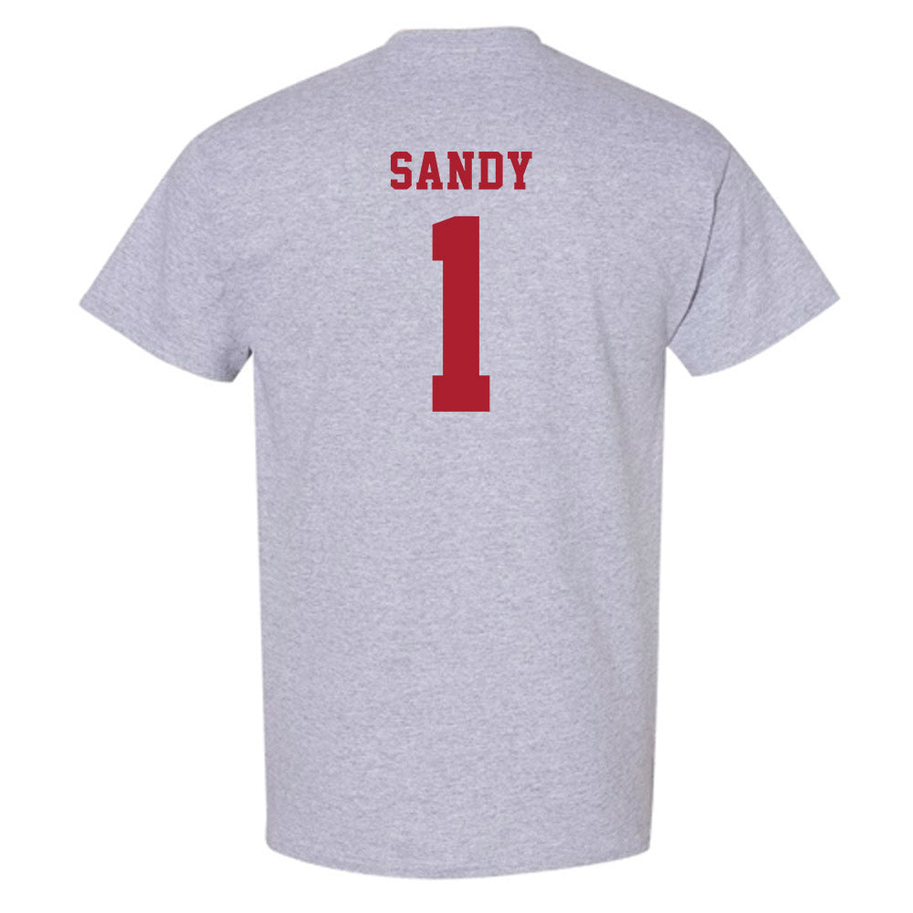 Stony Brook - NCAA Men's Soccer : Rushon Sandy - T-Shirt-1