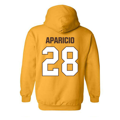 Valpo - NCAA Baseball : Aiden Aparicio - Classic Shersey Hooded Sweatshirt-1