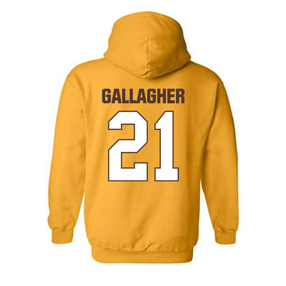 Valpo - NCAA Softball : Mackenzie Gallagher - Classic Shersey Hooded Sweatshirt-1