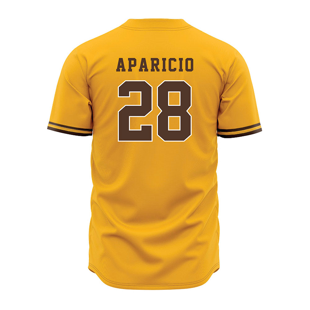 Valpo - NCAA Baseball : Aiden Aparicio - Jersey-1