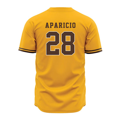 Valpo - NCAA Baseball : Aiden Aparicio - Jersey-1