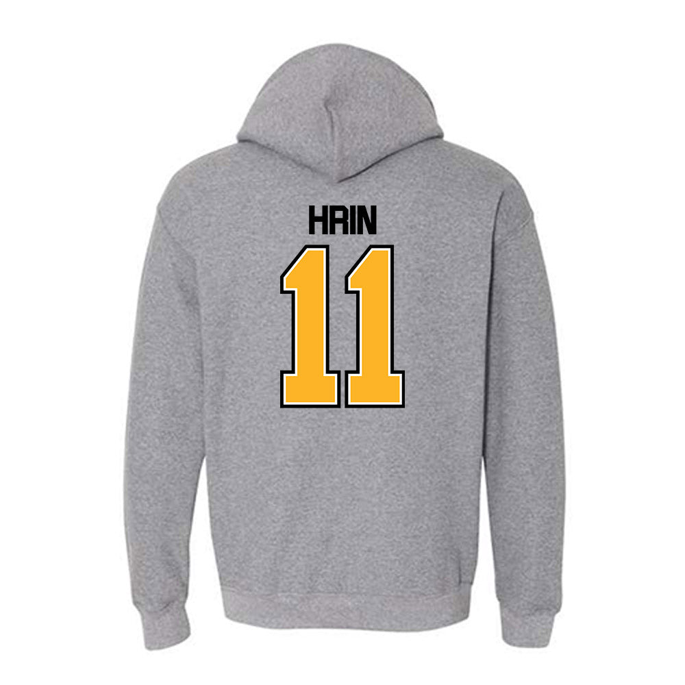 UW Milwaukee - NCAA Baseball : Tyler Hrin - Hooded Sweatshirt-1