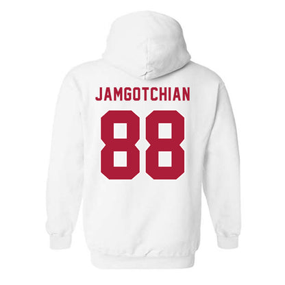 LMU - NCAA Softball : Izzy Jamgotchian - Classic Shersey Hooded Sweatshirt-1