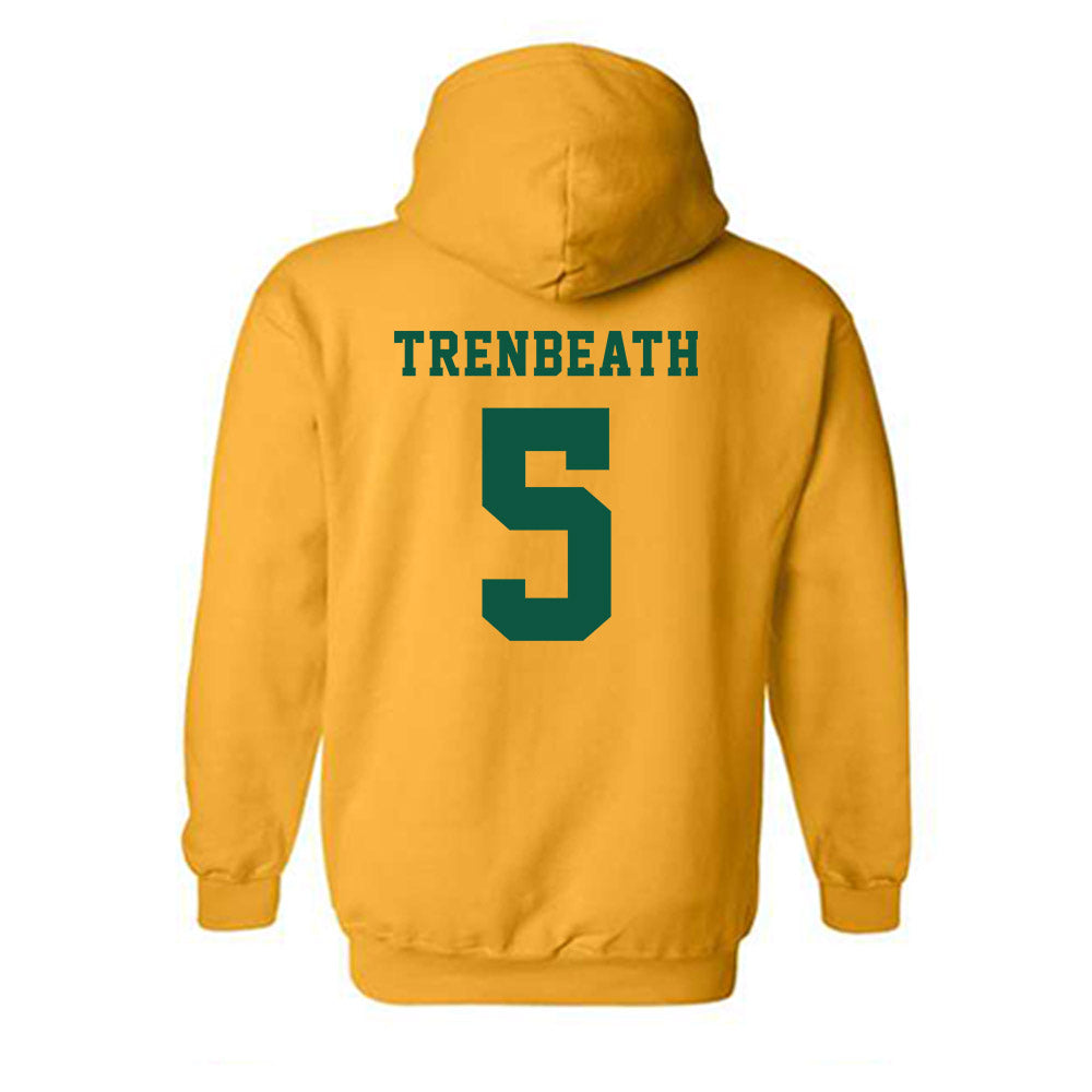 NDSU - NCAA Women's Basketball : Liza Trenbeath - Classic Shersey Hooded Sweatshirt-1