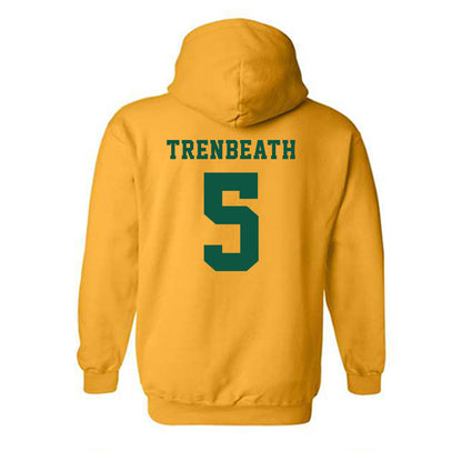 NDSU - NCAA Women's Basketball : Liza Trenbeath - Classic Shersey Hooded Sweatshirt-1