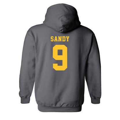 NDSU - NCAA Baseball : Landon Sandy - Classic Shersey Hooded Sweatshirt-1