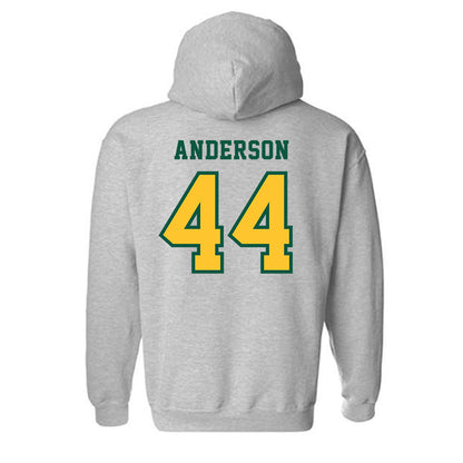 NDSU - NCAA Men's Basketball : Treyson Anderson - Classic Shersey Hooded Sweatshirt-1