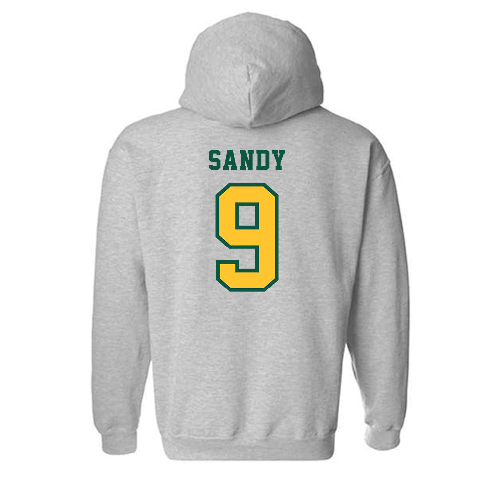 NDSU - NCAA Baseball : Landon Sandy - Classic Shersey Hooded Sweatshirt-1