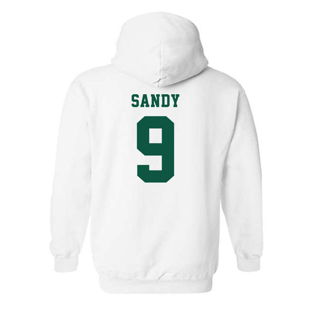 NDSU - NCAA Baseball : Landon Sandy - Classic Shersey Hooded Sweatshirt-1