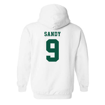 NDSU - NCAA Baseball : Landon Sandy - Classic Shersey Hooded Sweatshirt-1
