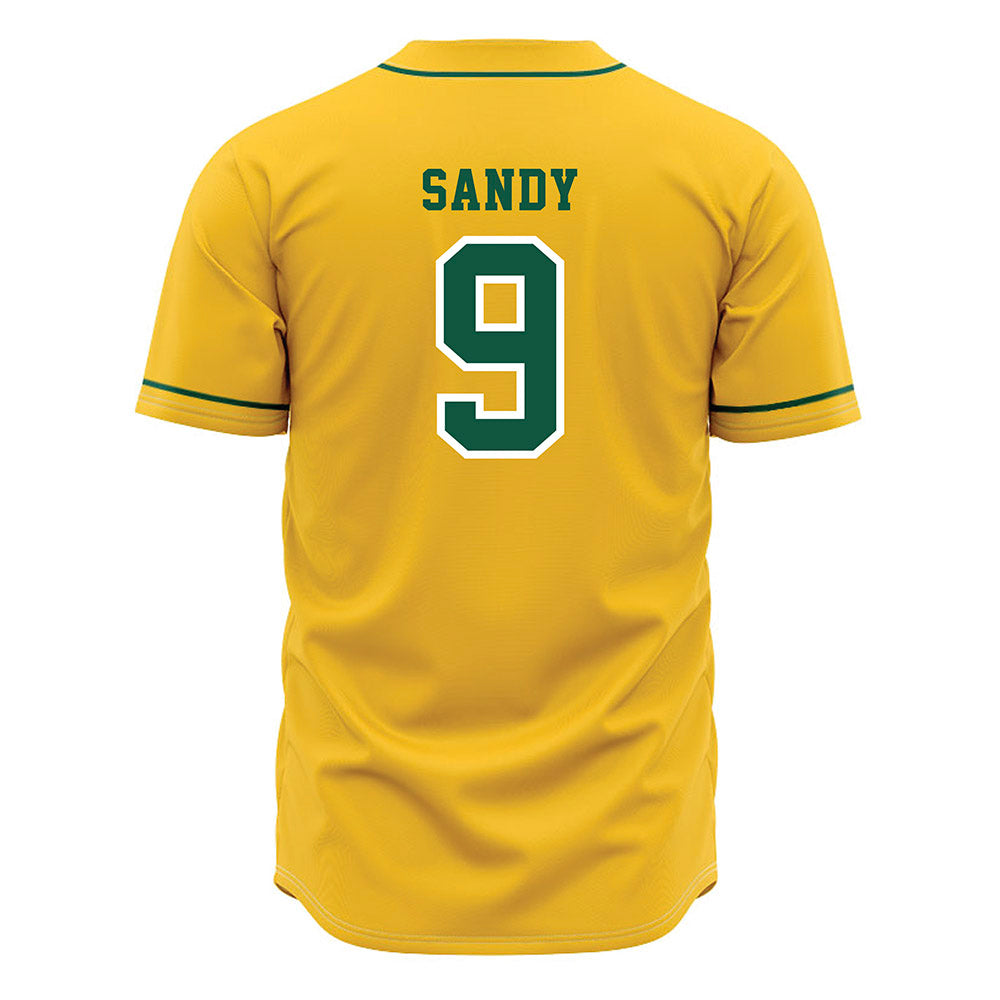 NDSU - NCAA Baseball : Landon Sandy - Yellow Jersey-1