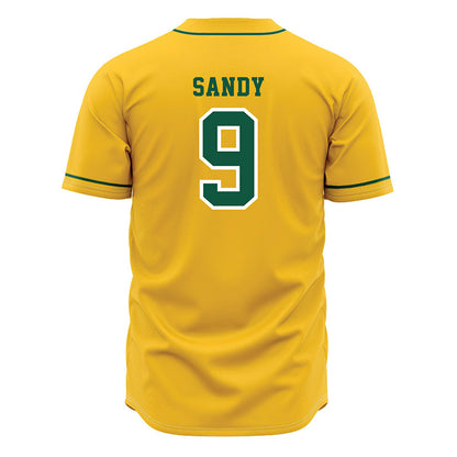 NDSU - NCAA Baseball : Landon Sandy - Yellow Jersey-1