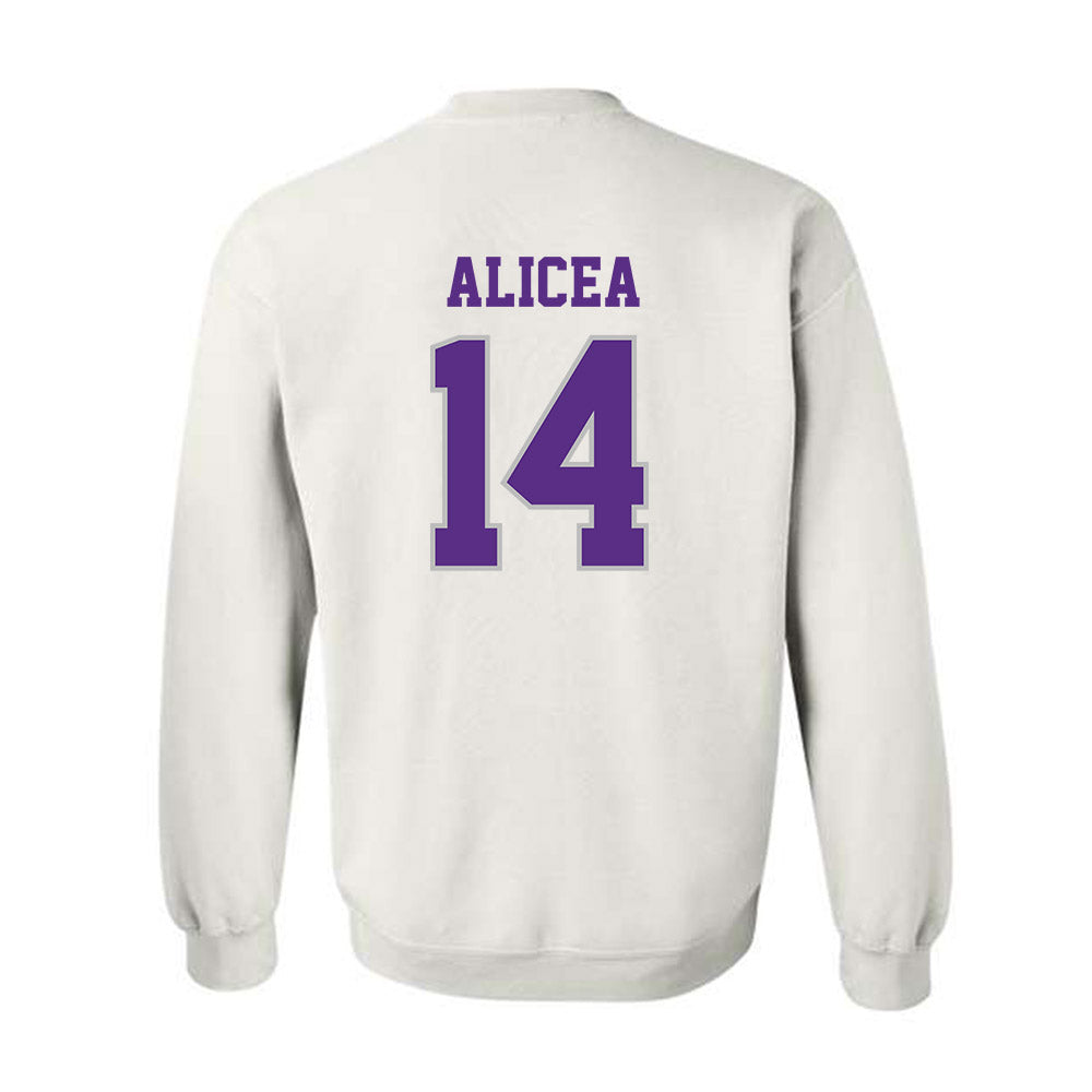 Stonehill - NCAA Softball : Juliana Alicea - Classic Shersey Crewneck Sweatshirt-1