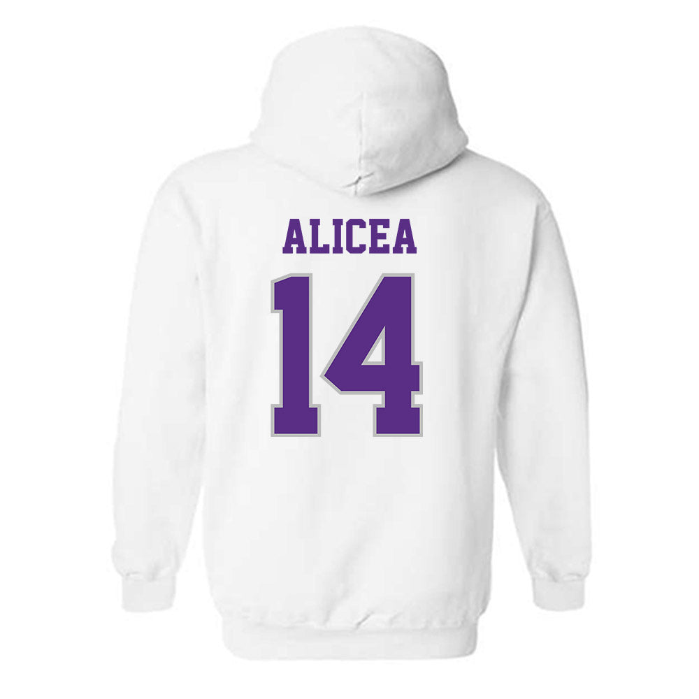 Stonehill - NCAA Softball : Juliana Alicea - Classic Shersey Hooded Sweatshirt-1