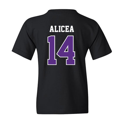 Stonehill - NCAA Softball : Juliana Alicea - Classic Shersey Youth T-Shirt-1
