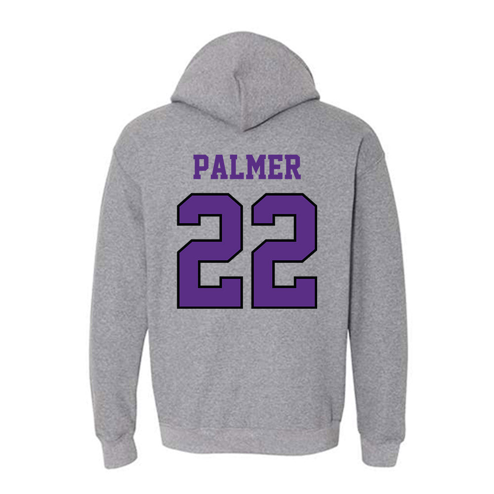 Stonehill - NCAA Men's Ice Hockey : Jordin Palmer - Classic Shersey Hooded Sweatshirt-1