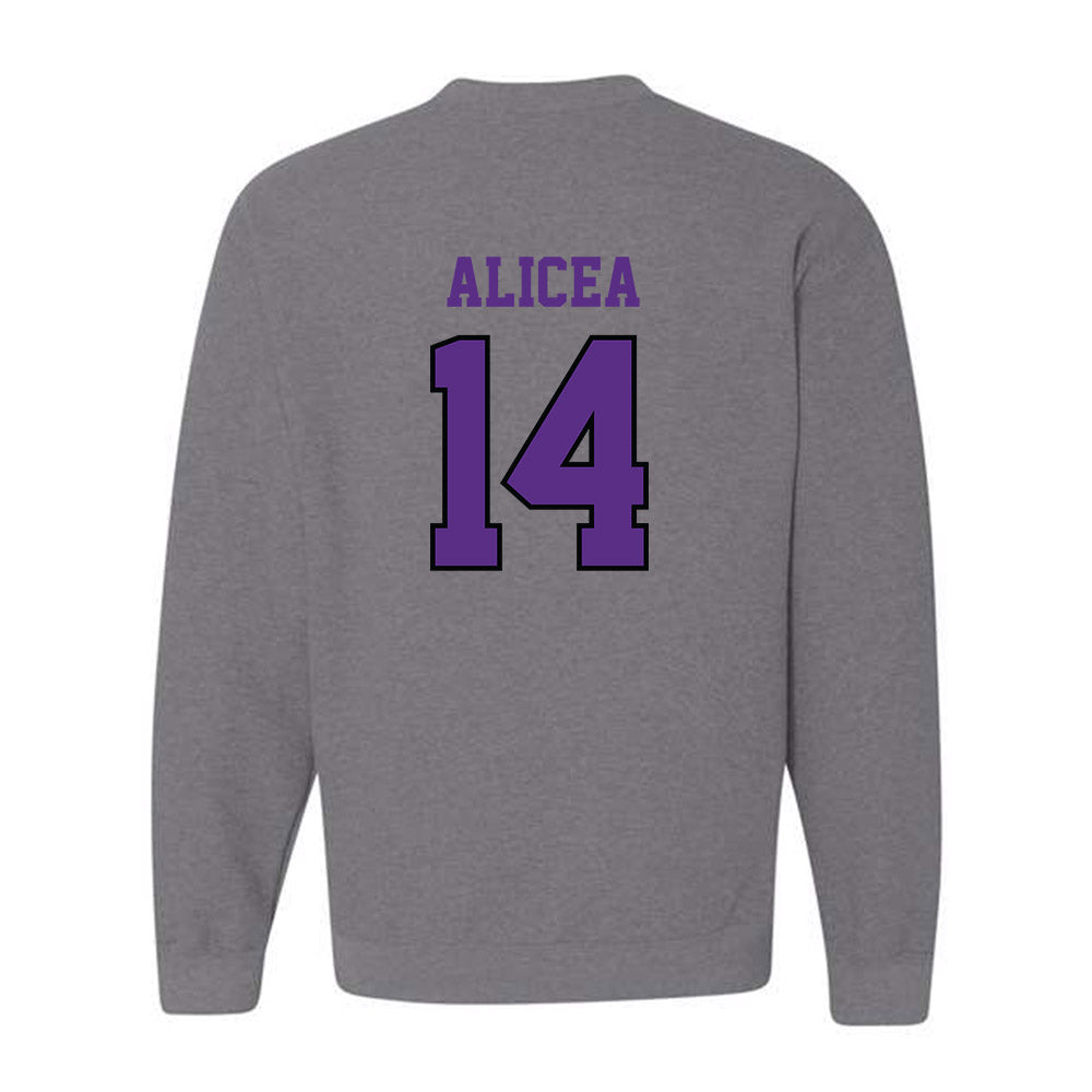 Stonehill - NCAA Softball : Juliana Alicea - Classic Shersey Crewneck Sweatshirt-1
