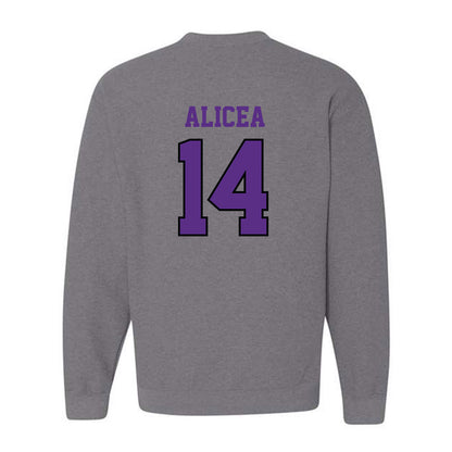 Stonehill - NCAA Softball : Juliana Alicea - Classic Shersey Crewneck Sweatshirt-1