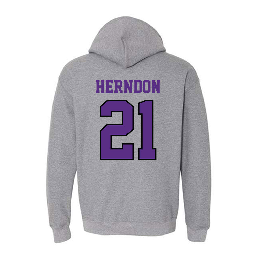 Stonehill - NCAA Women's Volleyball : Haley Herndon - Classic Shersey Hooded Sweatshirt-1