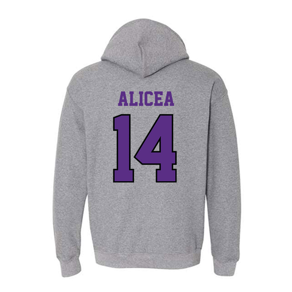 Stonehill - NCAA Softball : Juliana Alicea - Classic Shersey Hooded Sweatshirt-1