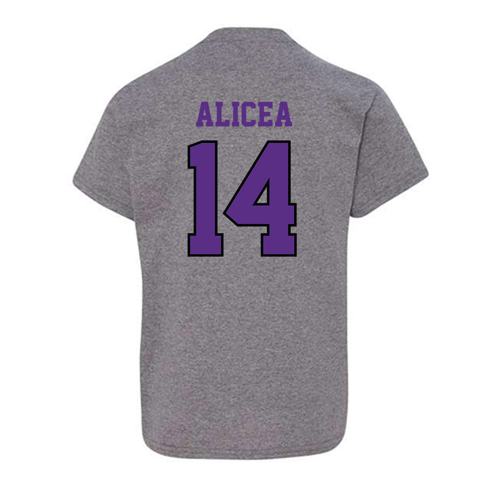 Stonehill - NCAA Softball : Juliana Alicea - Classic Shersey Youth T-Shirt-1