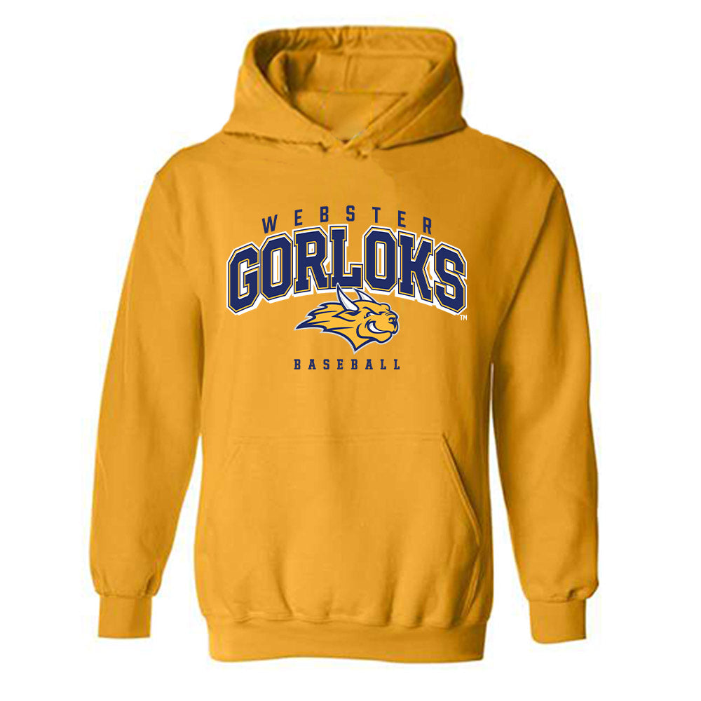 Webster - NCAA Baseball : Christopher Lara - Classic Shersey Hooded Sweatshirt-0