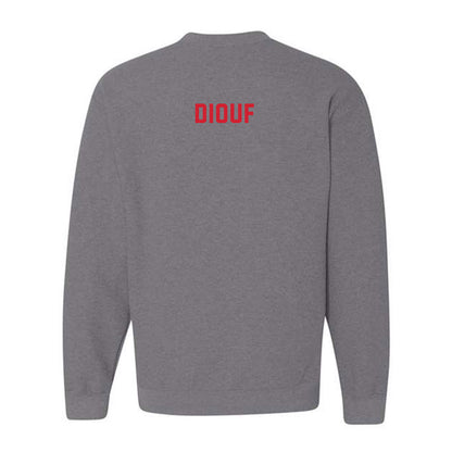 Howard - NCAA Men's Swimming & Diving : Ibrahima Diouf - Crewneck Sweatshirt-1