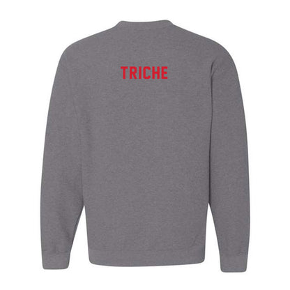 Howard - NCAA Men's Swimming & Diving : Ty Triche - Crewneck Sweatshirt-1