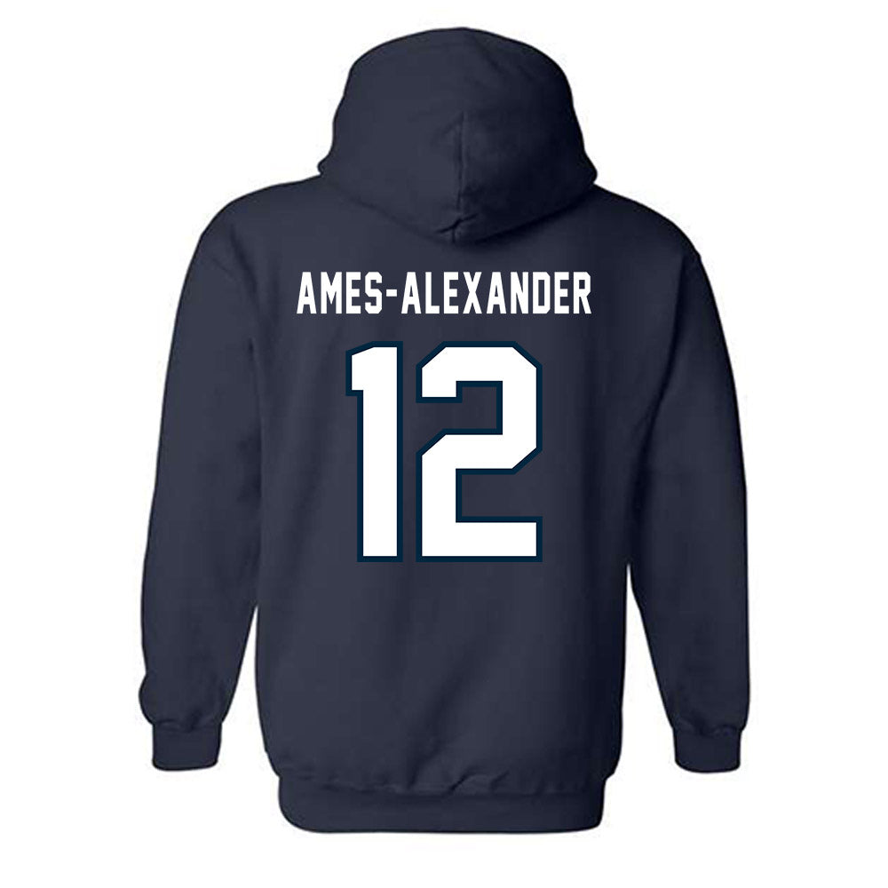 Howard - NCAA Softball : Taylor Ames-Alexander - Hooded Sweatshirt-1