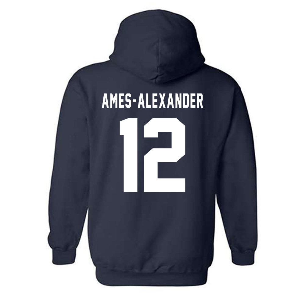 Howard - NCAA Softball : Taylor Ames-Alexander - Hooded Sweatshirt-1