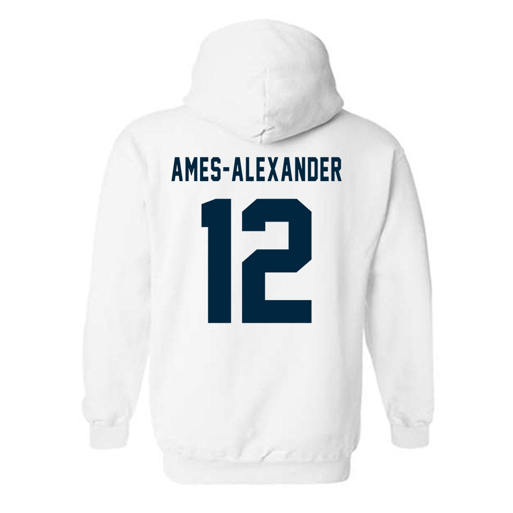 Howard - NCAA Softball : Taylor Ames-Alexander - Hooded Sweatshirt-1