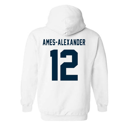 Howard - NCAA Softball : Taylor Ames-Alexander - Hooded Sweatshirt-1