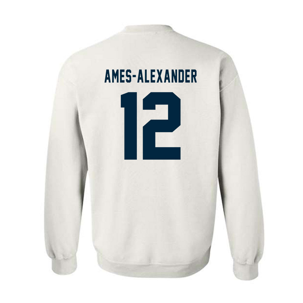 Howard - NCAA Softball : Taylor Ames-Alexander - Crewneck Sweatshirt-1
