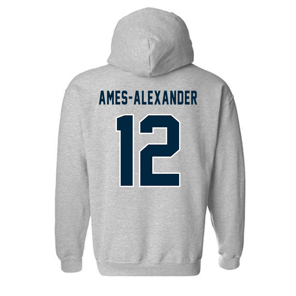 Howard - NCAA Softball : Taylor Ames-Alexander - Classic Shersey Hooded Sweatshirt-1
