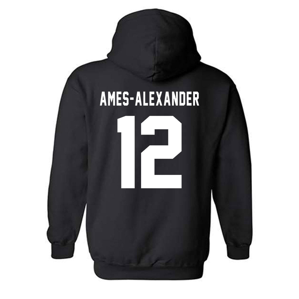 Howard - NCAA Softball : Taylor Ames-Alexander - Classic Shersey Hooded Sweatshirt-1