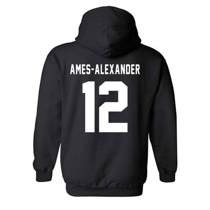 Howard - NCAA Softball : Taylor Ames-Alexander - Classic Shersey Hooded Sweatshirt-1
