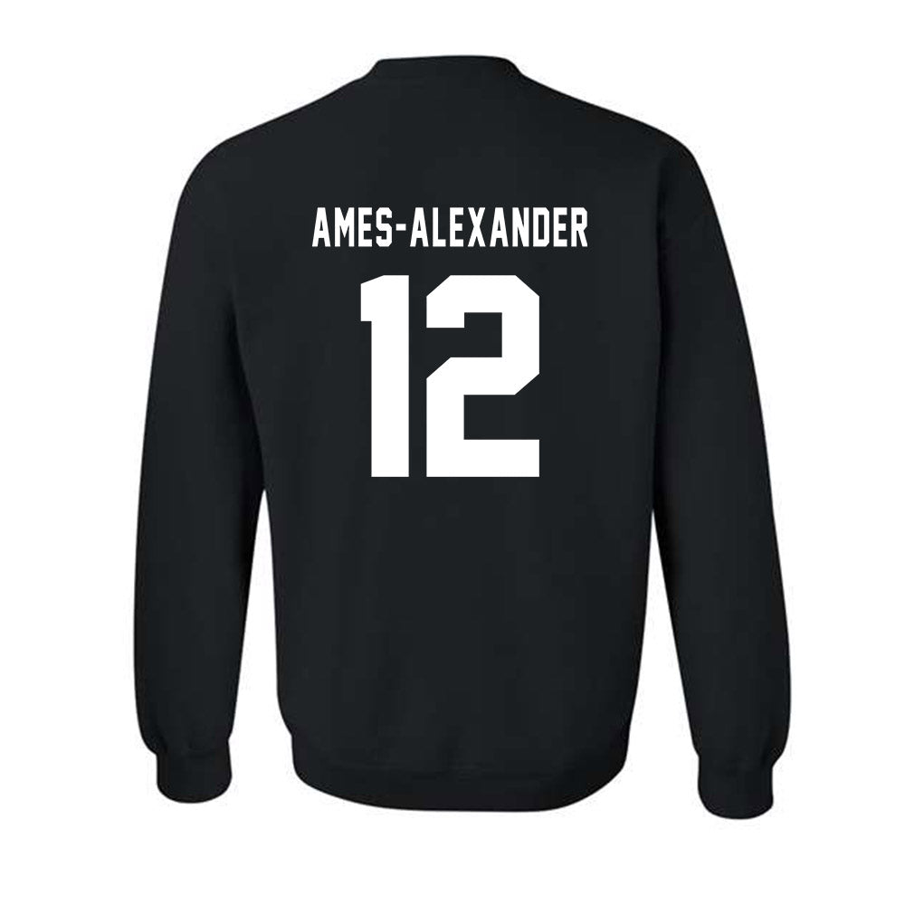 Howard - NCAA Softball : Taylor Ames-Alexander - Classic Shersey Crewneck Sweatshirt-1